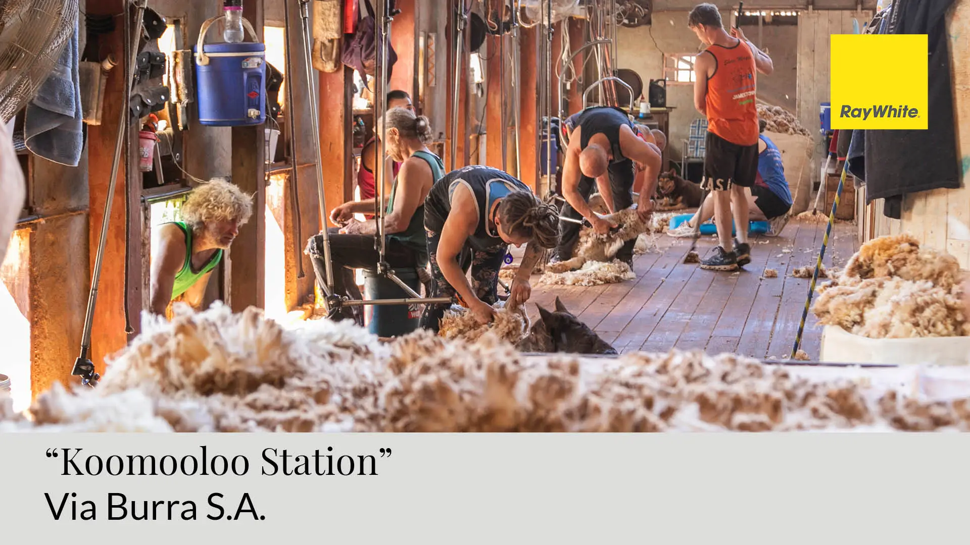 Real Estate video on YouTube